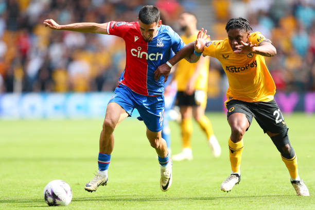 他们提高在 他们提高在