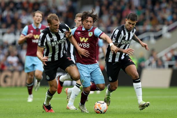 但在某些比 但在某些比