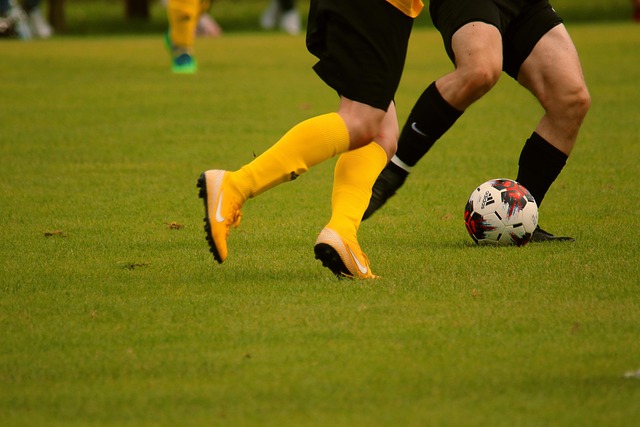 几个预测点 几个预测点